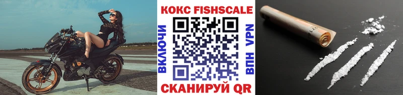 где купить наркоту  Рассказово  COCAIN Fish Scale 