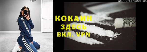 прущие грибы Майский
