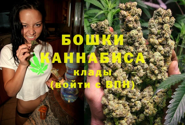 прущие грибы Майский