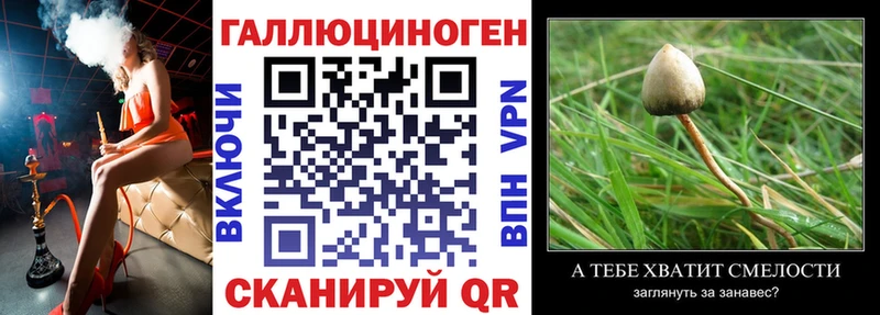 наркота blacksprut онион Галлюциногенные грибы Cubensis Рассказово